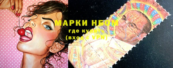 соль ск Бородино