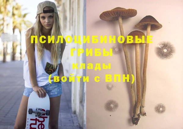 прущий лед Бронницы