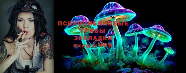 прущий лед Бронницы