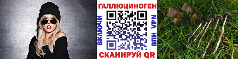 как найти закладки  Грозный  Псилоцибиновые грибы ЛСД 