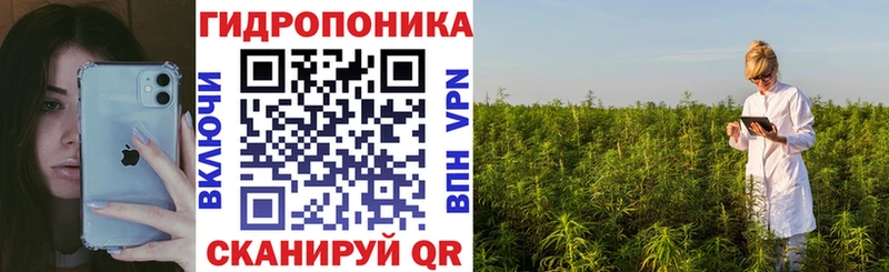 МАРИХУАНА White Widow  ОМГ ОМГ ссылки  Грозный  где можно купить  